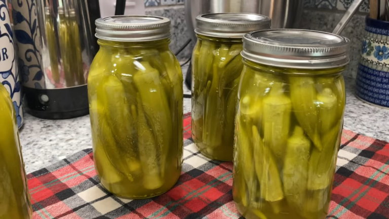 pickled okra recipe